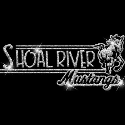 GLT101 SILVER GLITTER Thumbnail